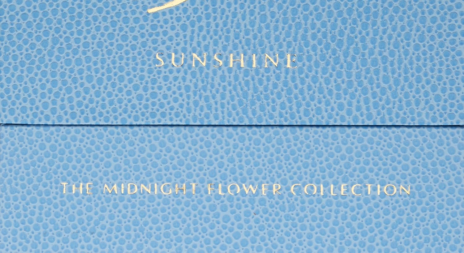 AMOUAGE Sunshine Women's Eau de Parfum Spray, 3.4 Fl Oz L750999