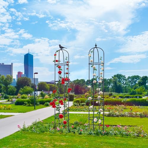 2 Pack Garden Obelisk Trellis for Climbing Plants Indoor Outdoor 6ft Z51383