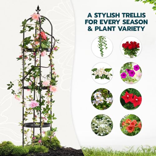 Metal Obelisk Trellis for Climbing Plants Outdoor 6ft, Heavy Duty Black Garden Vine Support J451408